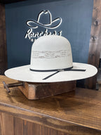 Serratelli hats 5101 Ivory bangora 4"