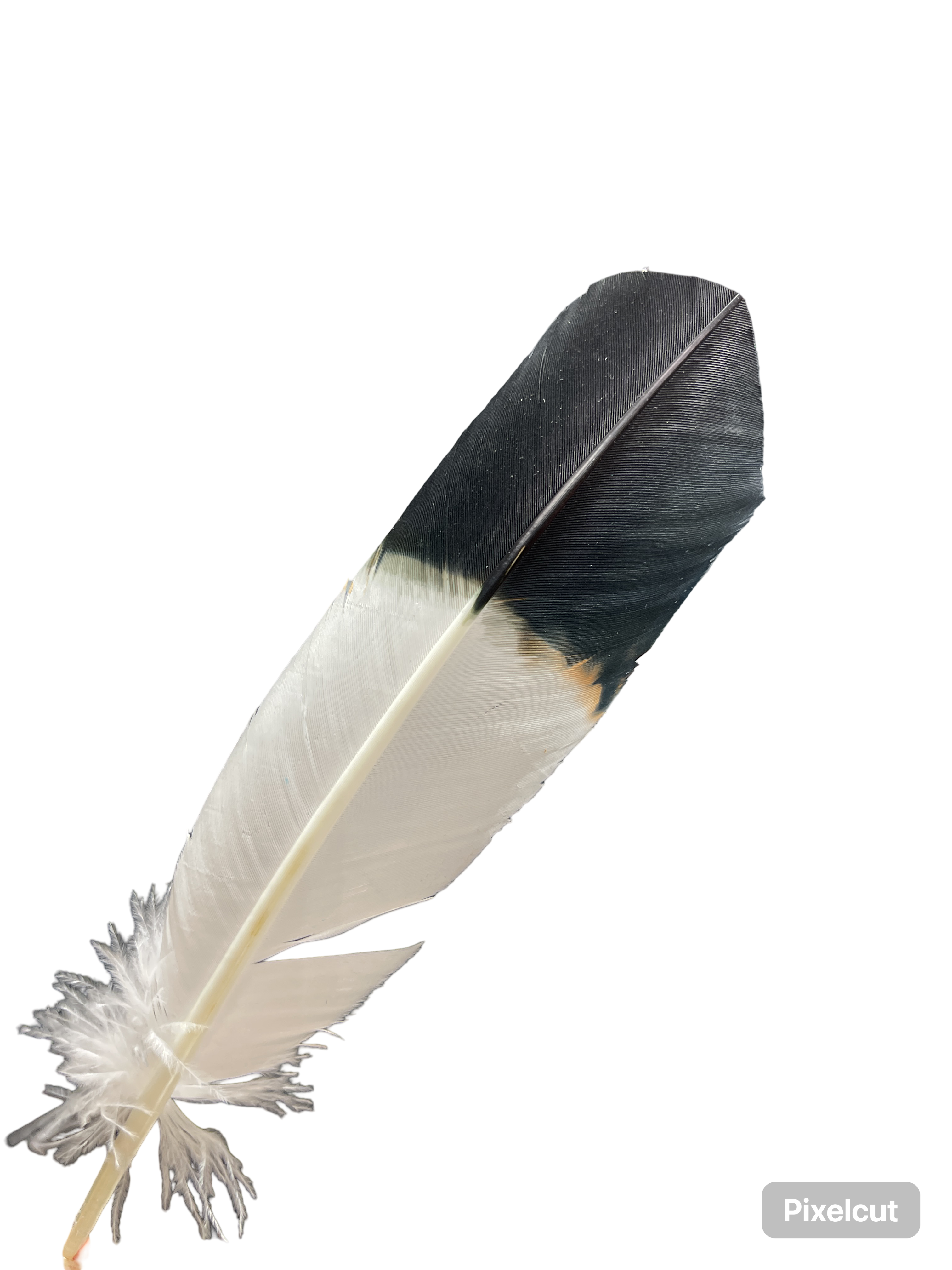 Hat Feather - Two Tone