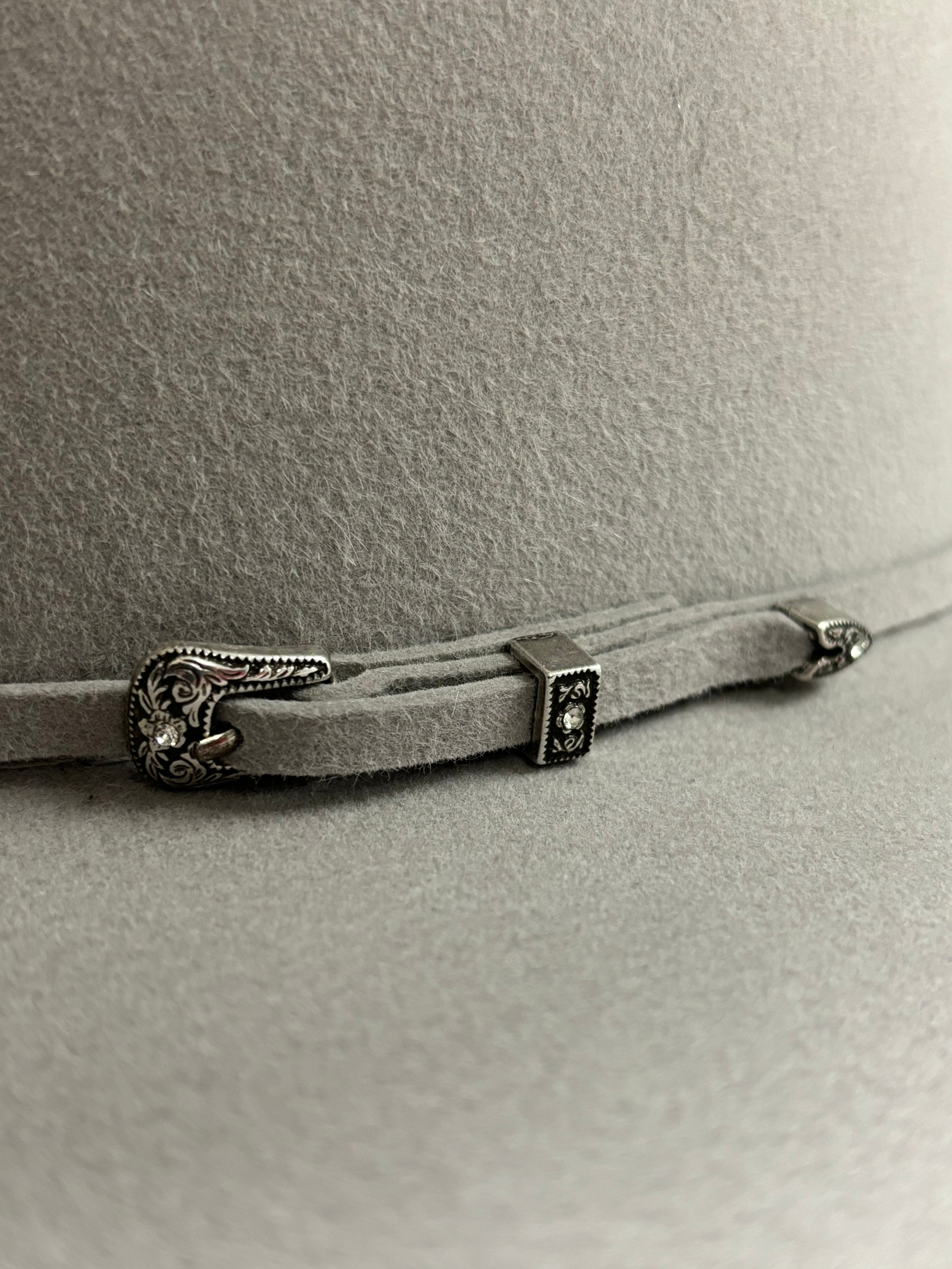 Bailey RCA 10X Silverbelly