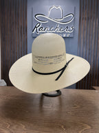 Twister T73838 Ivory Bangora