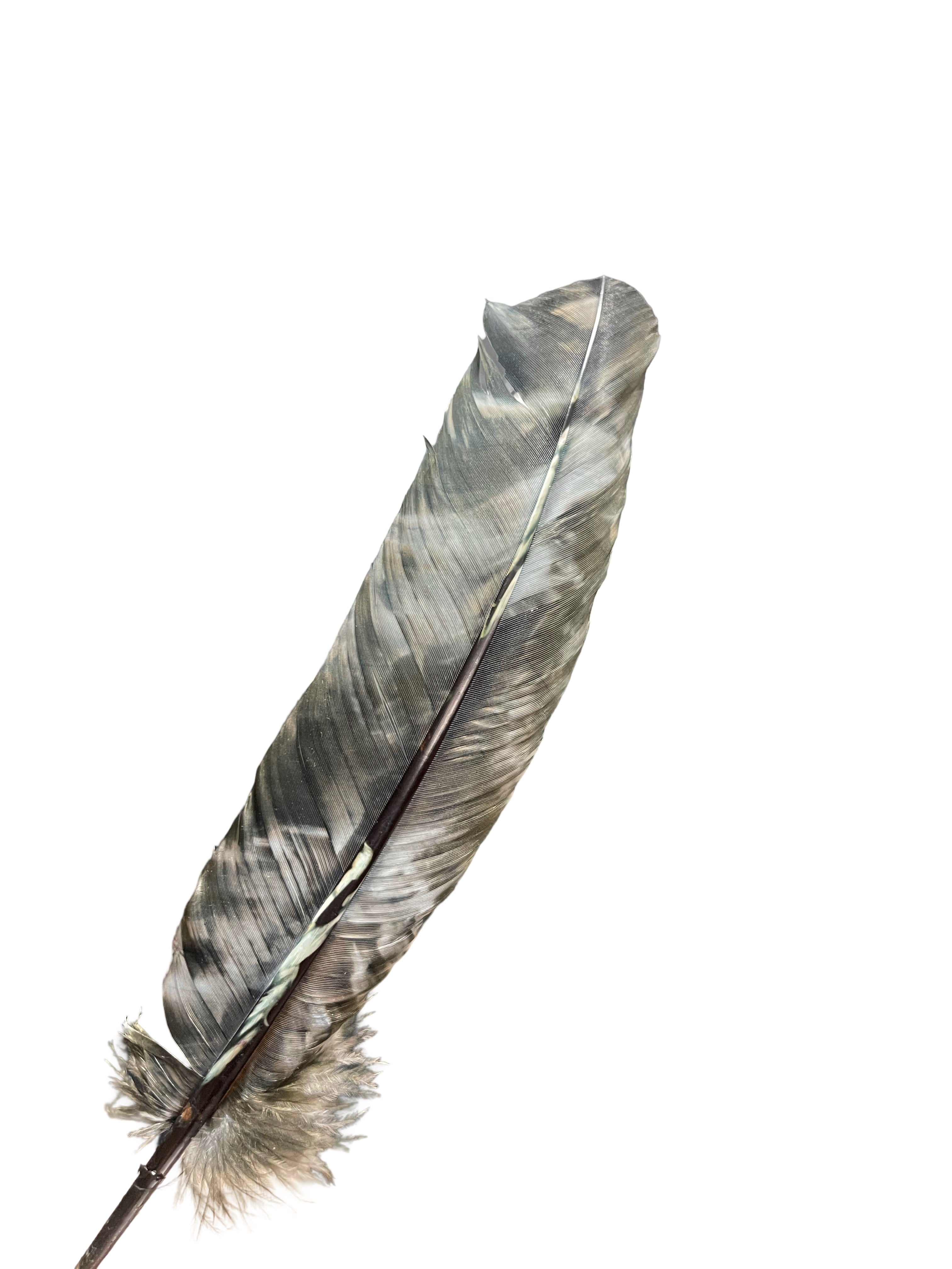 Hat Feather - Multicolor