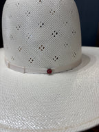 Tacchino 5505 3.75” Brim