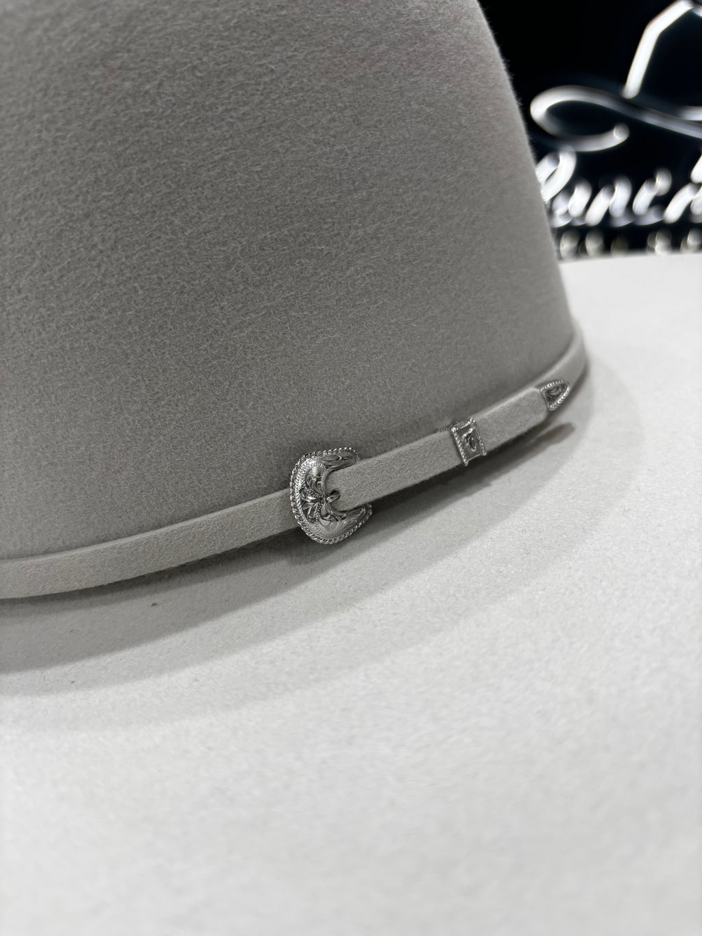 Tacchino 10x Silverbelly