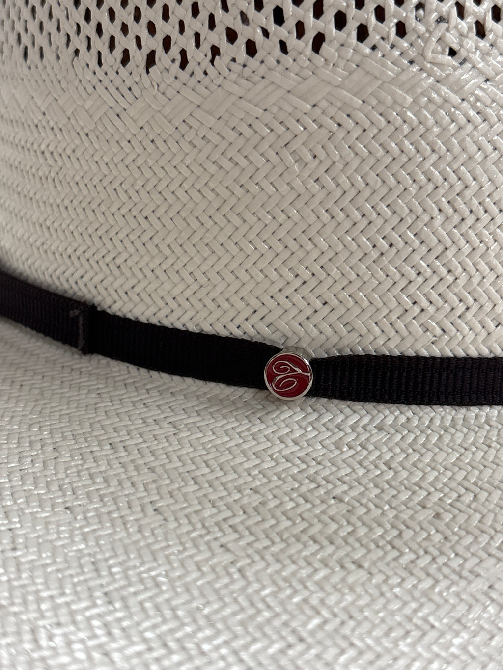 Tacchino Hats 5496 5” brim