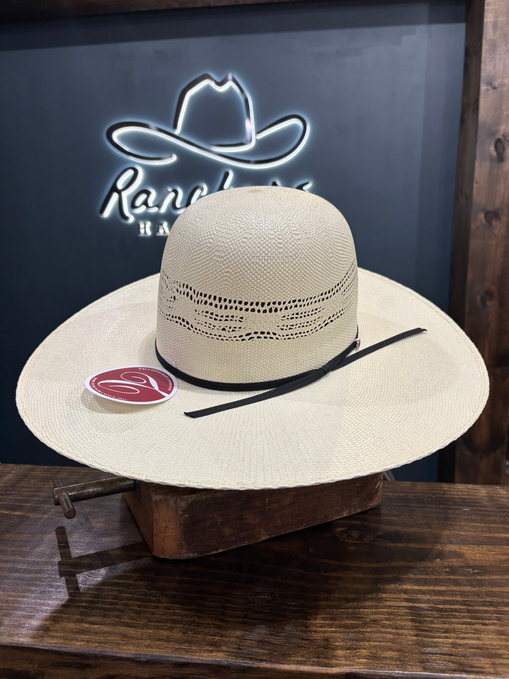 Tacchino Hats 5488 Bangora 5” brim