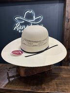 Tacchino Hats 5488 Bangora 5” brim