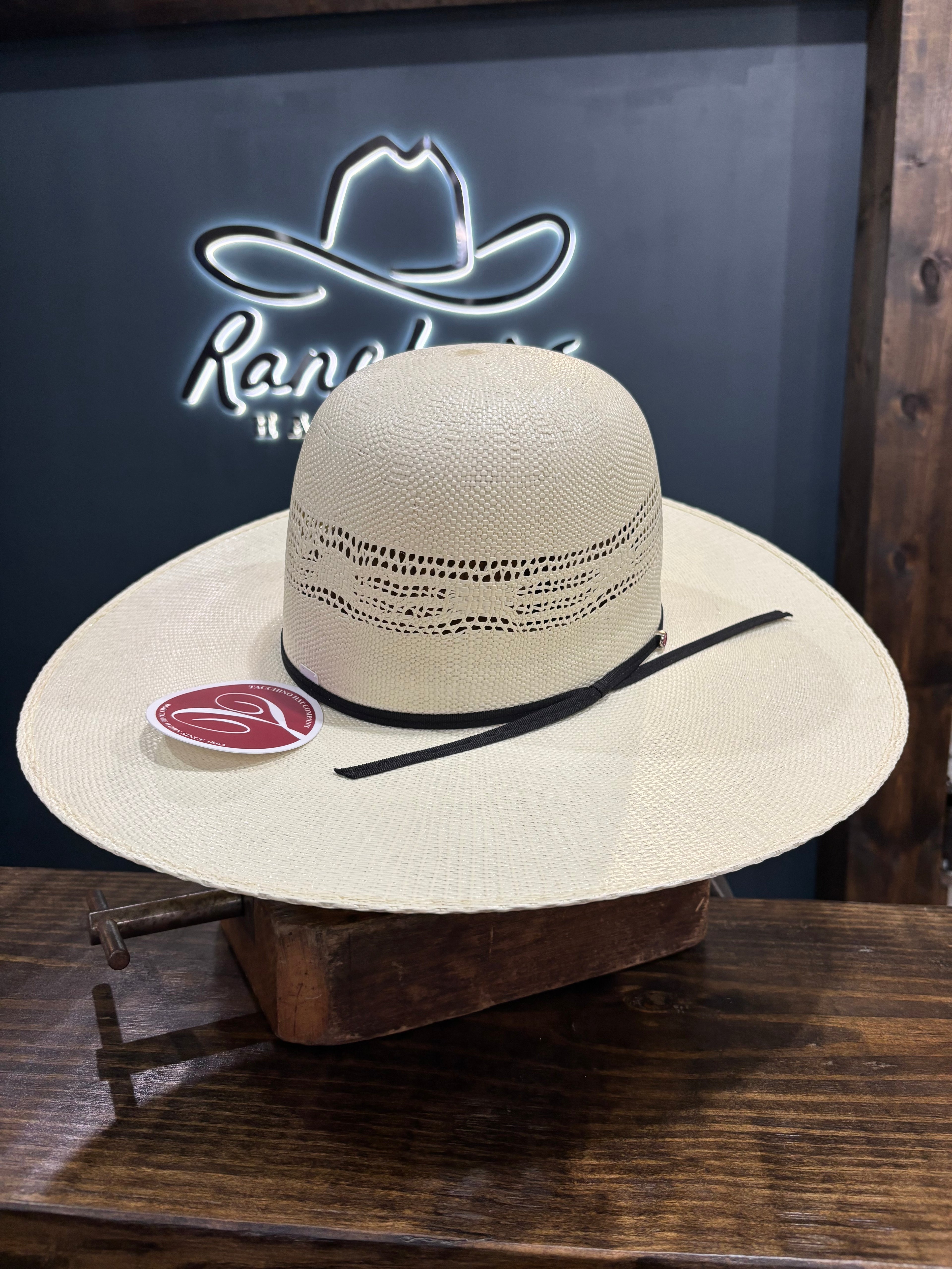 Tacchino Hats 5488 Bangora 5” brim