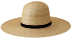 Sunbody oak palm 5'' brim precreased