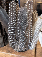 Guinea fowl Feathers (natural)