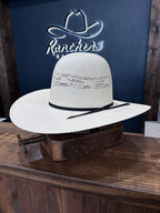 RDR-Bangora Ivory OB250