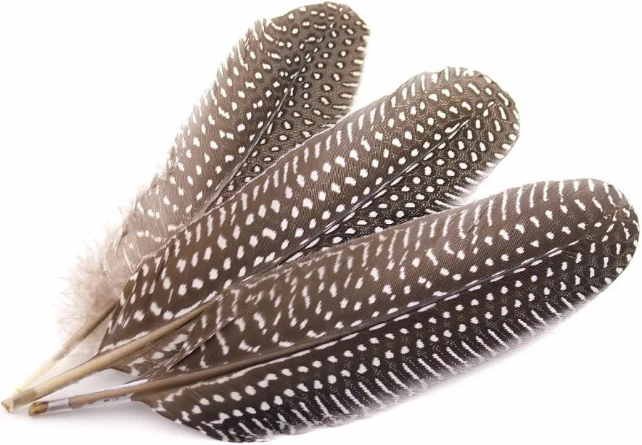 Guinea fowl Feathers (natural)