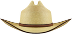 Sunbody -Gold Palm Leaf Precreased 4"