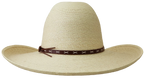 Sunbody-Palm Leaf Precreased 4" brim gus