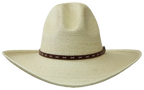 Sunbody-Palm Leaf Precreased 4" brim gus