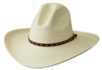 Sunbody-Palm Leaf Precreased 4" brim gus