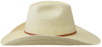 Sunbody hats palm 4” wired brim